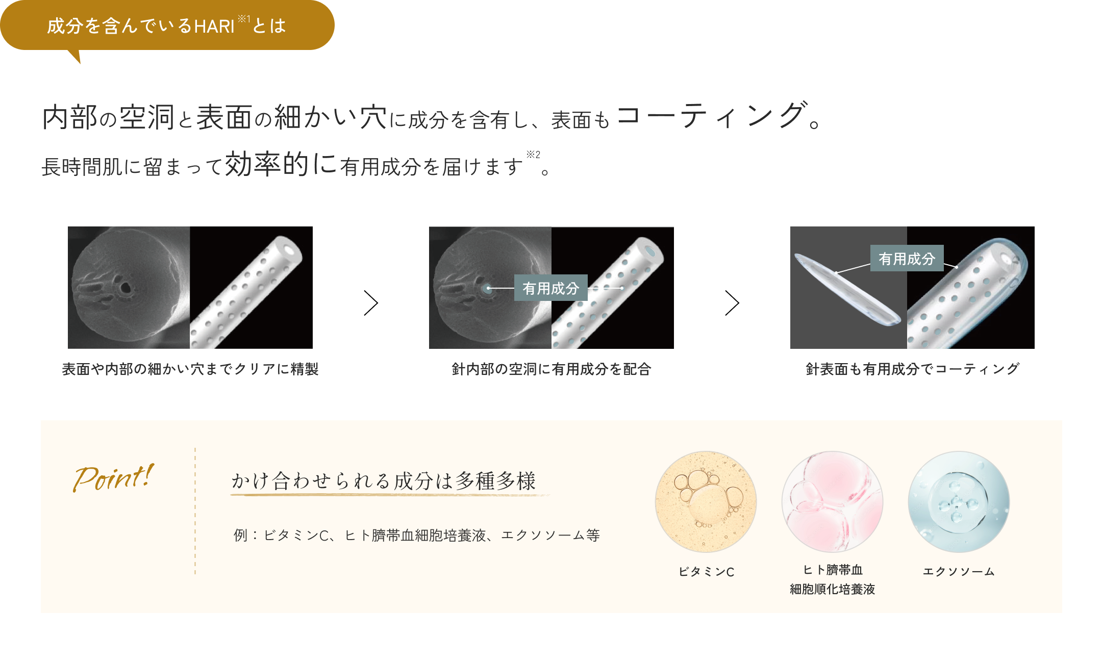 成分を含んでいるHARI※1とは？内部の空洞と表面の細かい穴に成分を含有し、表面もコーティング、長時間肌に留まって効率的に有用成分を届け※2ます。Point：かけ合わせられる成分は多種多様。例：ビタミンC、ヒト臍帯血細胞順化培養液、エクソソーム等。※1 加水分解カイメン、シリカ（すべて整肌）※2 角層まで