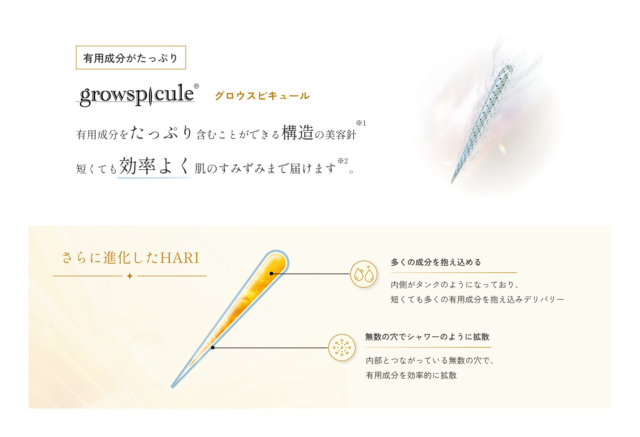 有用成分がたっぷり、growspicule：グロウスピキュール。有用成分をたっぷり含むことができる構造の美容針※短くても効率よく肌のすみずみまで届けます※2。さらに進化したHARI：多くの成分を抱え込める：内側がタンクのようになっており、短くても多くの有用成分を抱え込みデリバリー。無数の穴でシャワーのように拡散：内部とつながっている無数の穴で、有用成分を効率的に拡散（注釈：角質層まで）