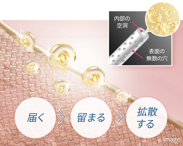 内部の空洞　表面の無数の穴　届く＞留まる＞拡散する