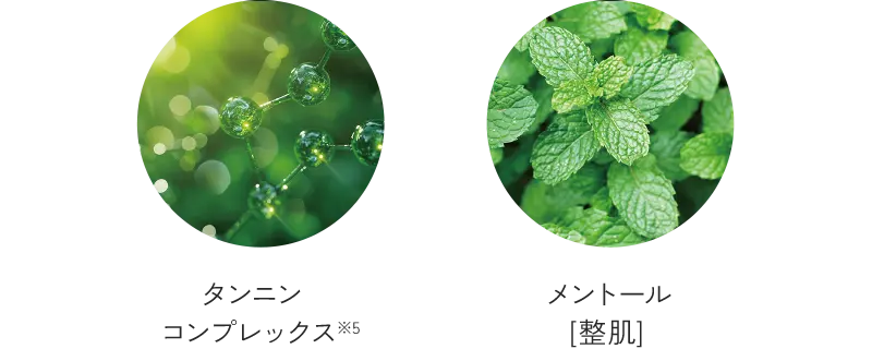 タンニンコンプレックス※5  メントール [整肌]