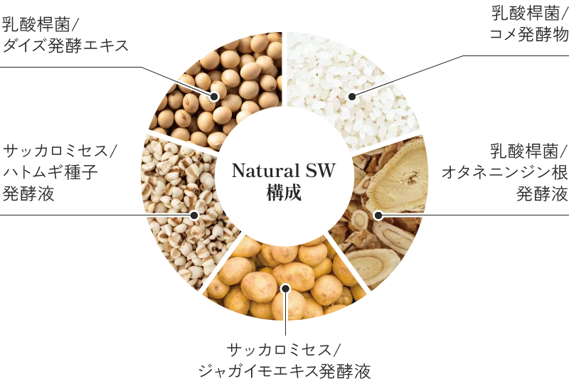 Natural SW構成 乳酸桿菌 / ダイズ発酵エキス,乳酸桿菌 / コメ発酵物 ,サッカロミセス / ハトムギ種子発酵液,乳酸桿菌 / オタネニンジン根発酵液,サッカロミセス / ジャガイモエキス発酵液