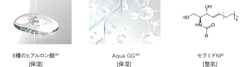 8種の ヒアルロン酸※1[保湿]、Aqua GG※2[保湿]、セラミドNP[整肌]
