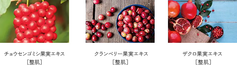 チョウセンゴミシ果実エキス［整肌］、クランベリー果実エキス［整肌］、ザクロ果実エキス［整肌］