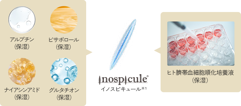 アルブチン (保湿) ビサボロール (保湿) ナイアシンアミド (保湿) グルタチオン (保湿) Inosp/cule® イノスピキュール※1 ヒト臍帯血細胞順化培養液 (保湿)