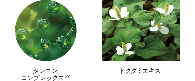 タンニン コンプレックス※6  ドクダミエキス