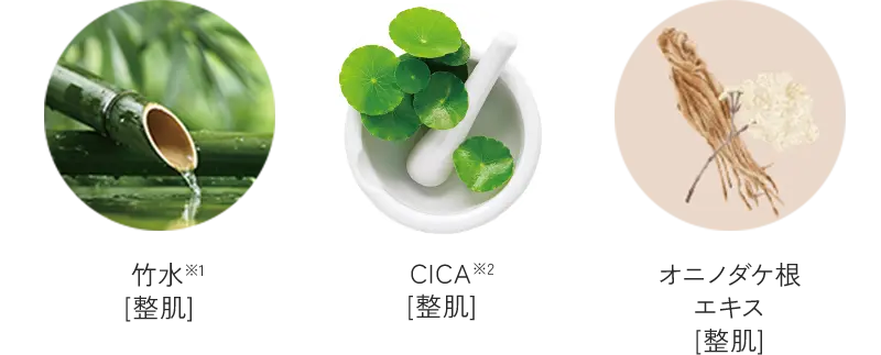 竹水※1[整肌] CICA※3[整肌] オニノダケ根エキス[整肌]