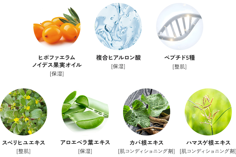 ヒポファエラムノイデス果実オイル[保湿]、複合ヒアルロン酸[保湿]、ペプチド5種[整肌]、スベリヒユエキス[整肌]、アロエベラ葉エキス[保湿]、カバ根エキス[肌コンディショニング剤]、ハマスゲ根エキス[肌コンディショニング剤]