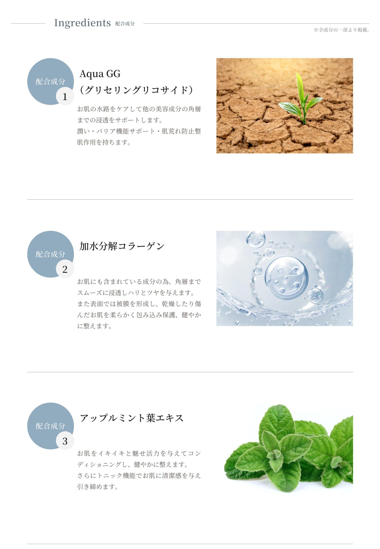 SPICARE voile de diamantの商品説明画像9