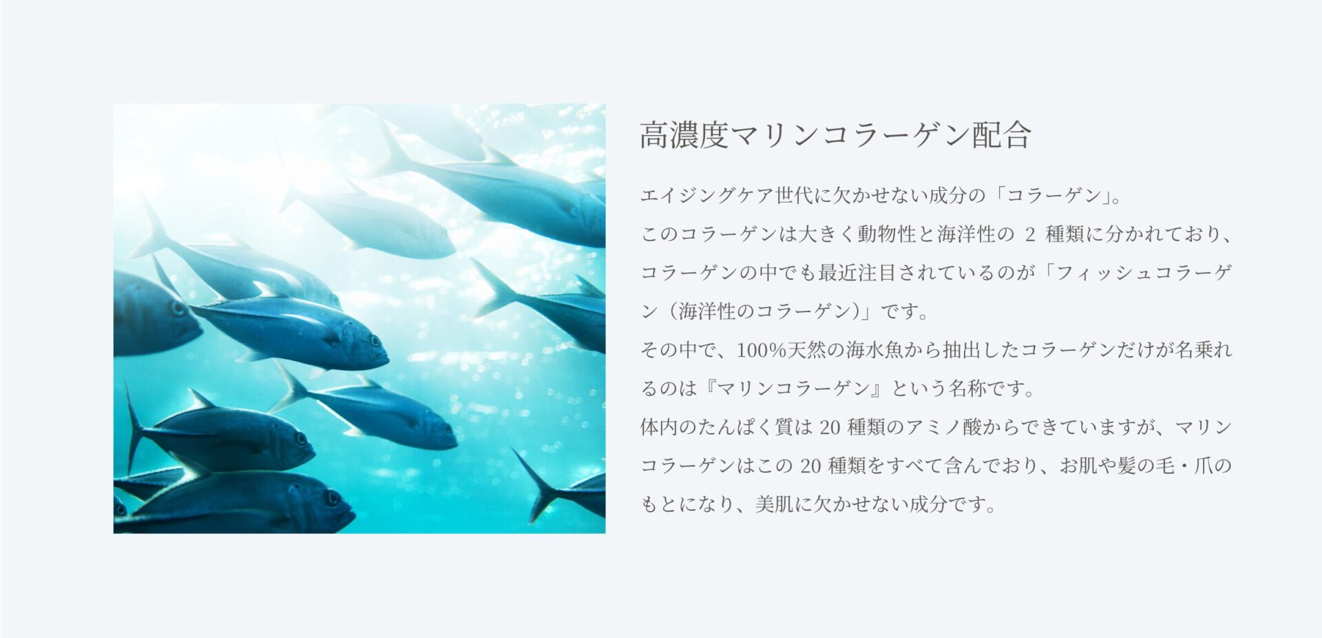 SPICARE voile de diamantの商品説明画像7